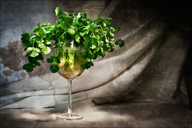 Coriander in Wine Glass
