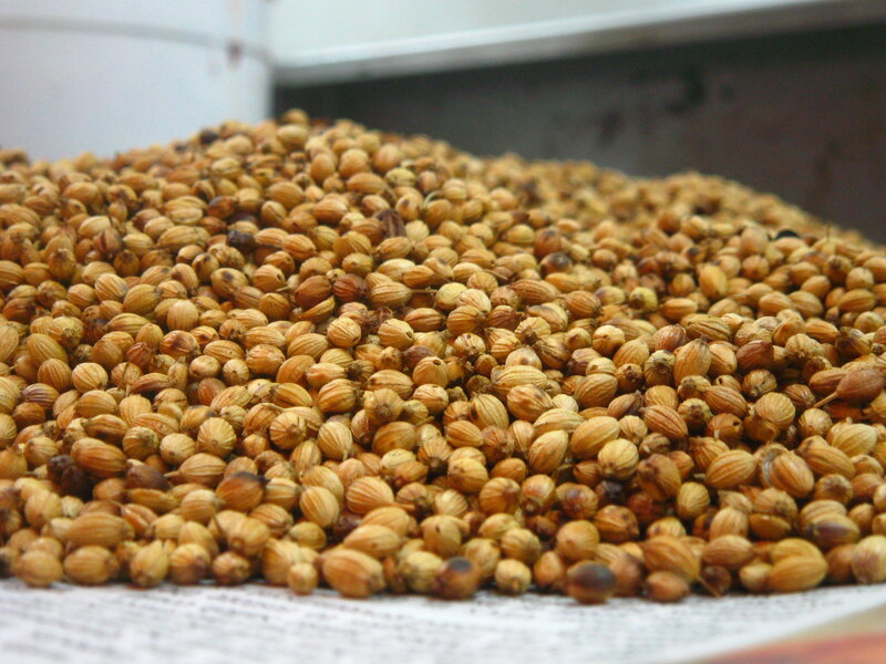 Coriander Seeds