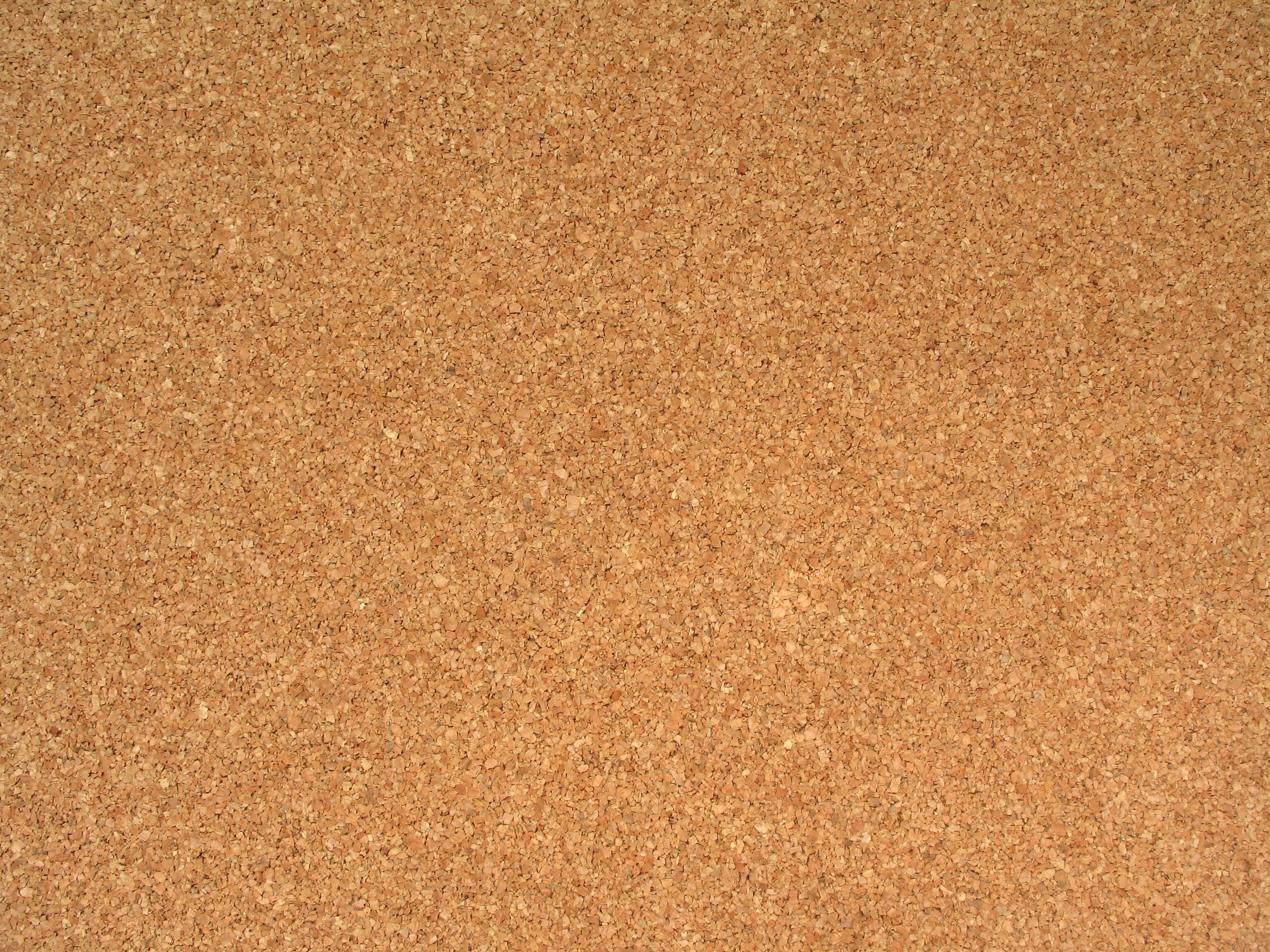 cork board texture