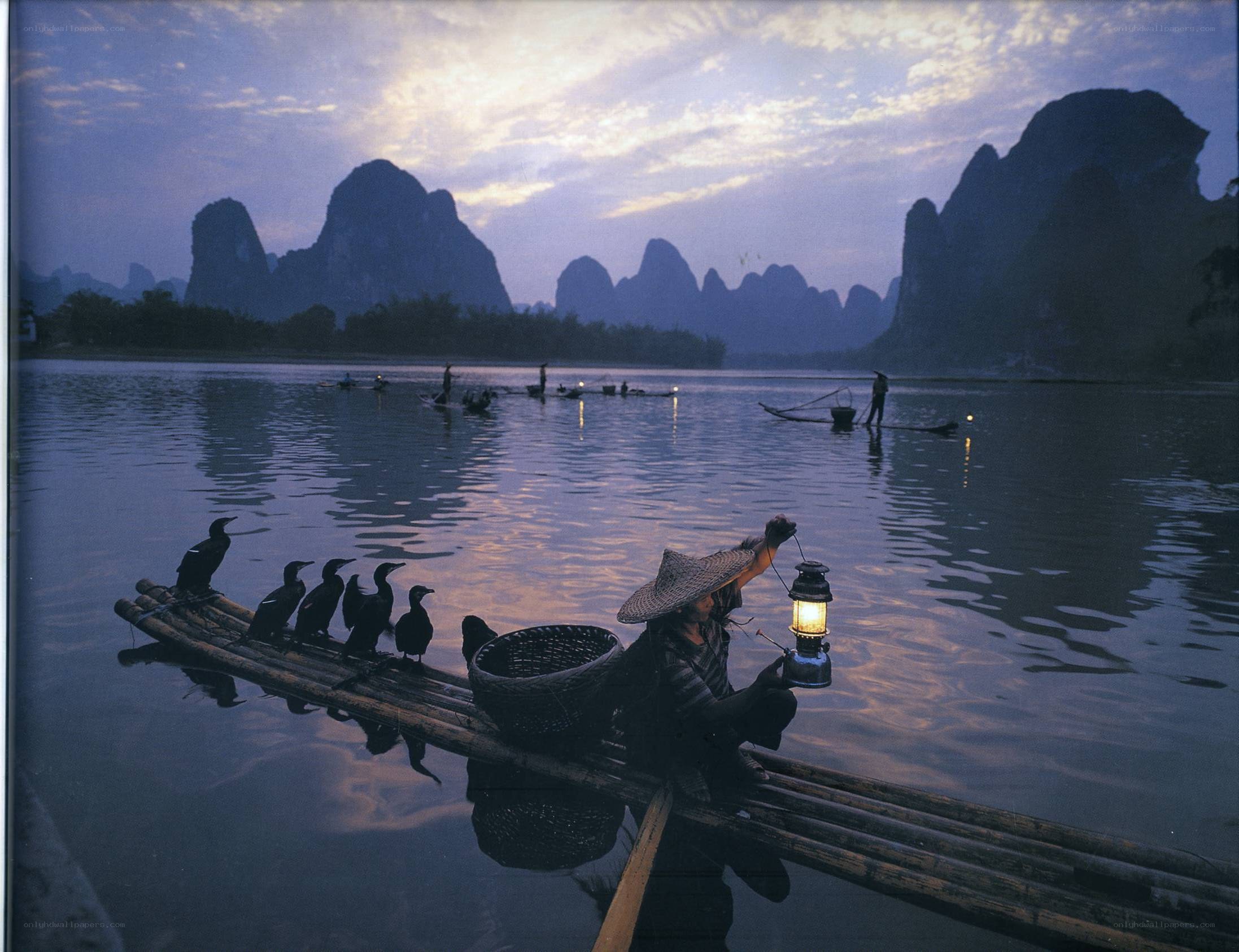 Cormorant fishing at dusk