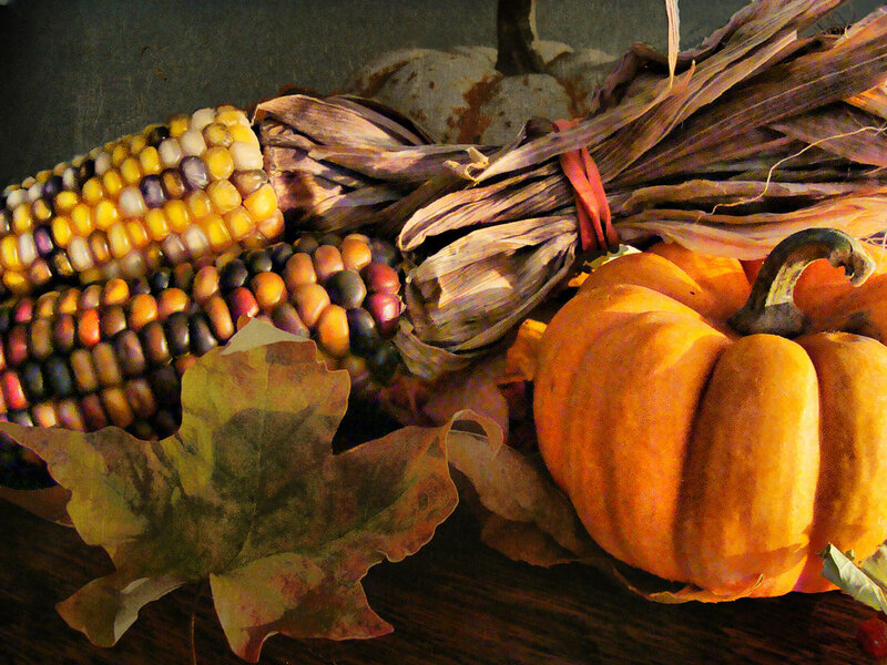 Corn and Pumpkins