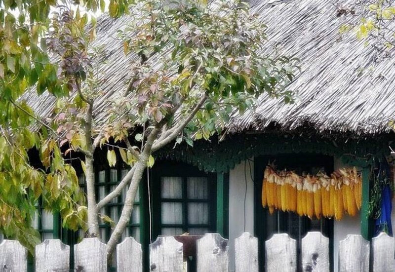 Corn Drying on House