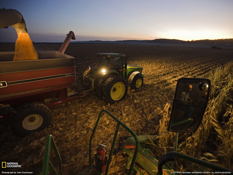 Corn Harvest at Dusk