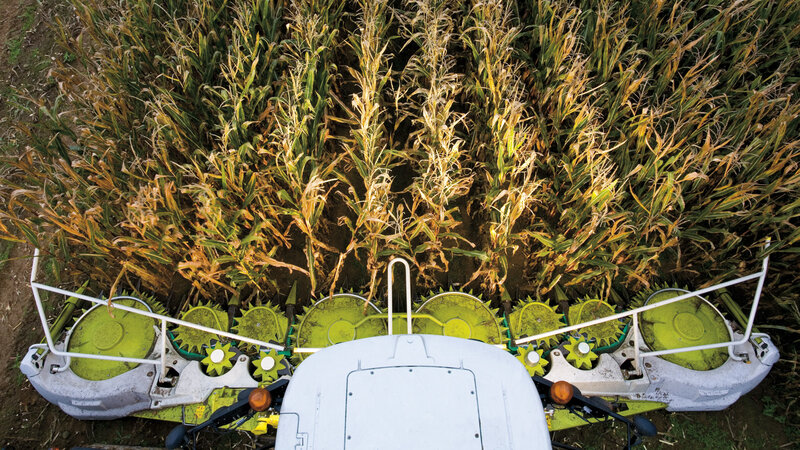 Corn Harvester in Field — Green, Industrial
