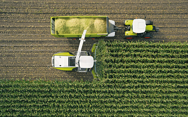 Corn Harvester in Field — Green