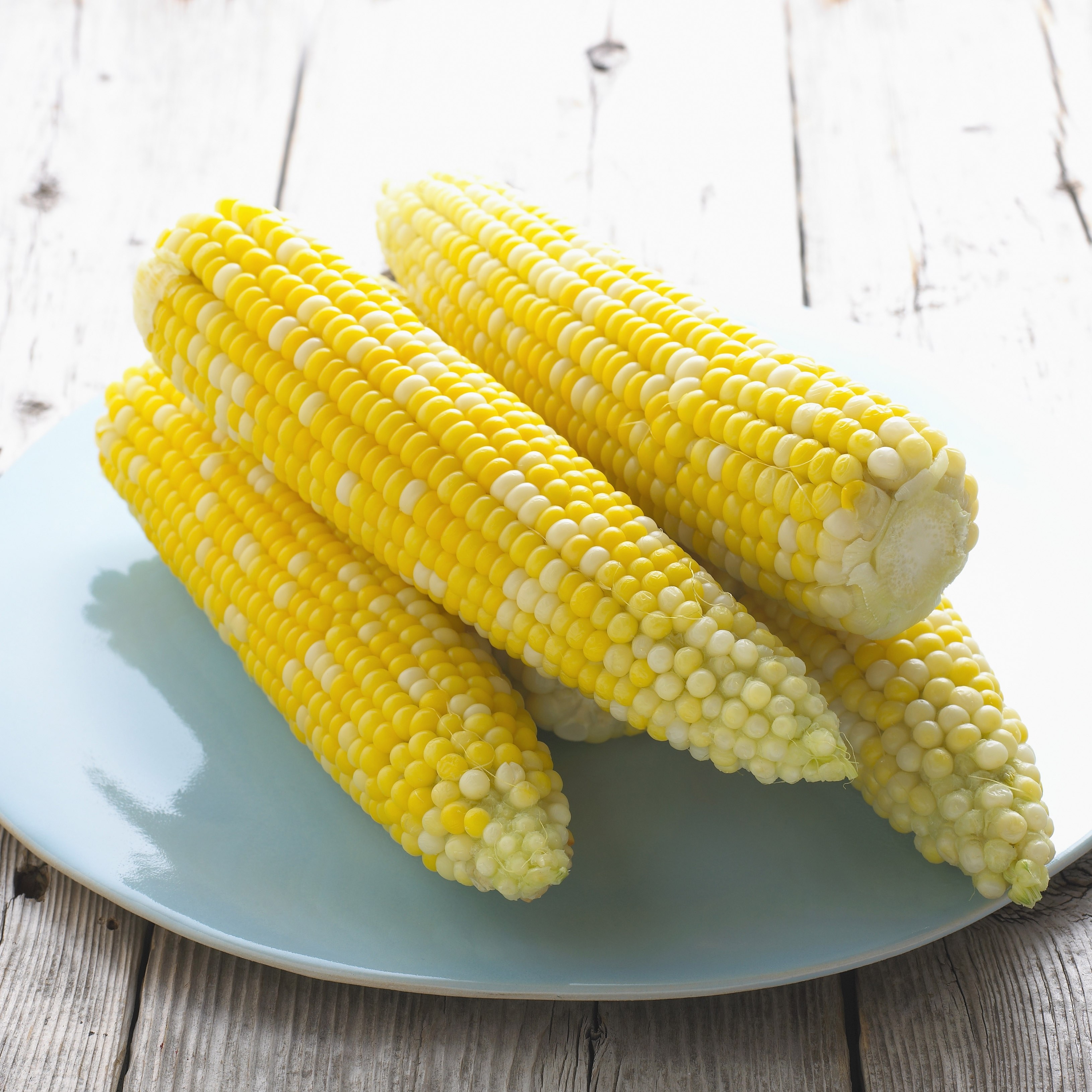Corn on a plate