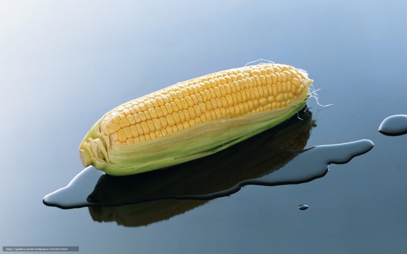 Corn on a reflective surface