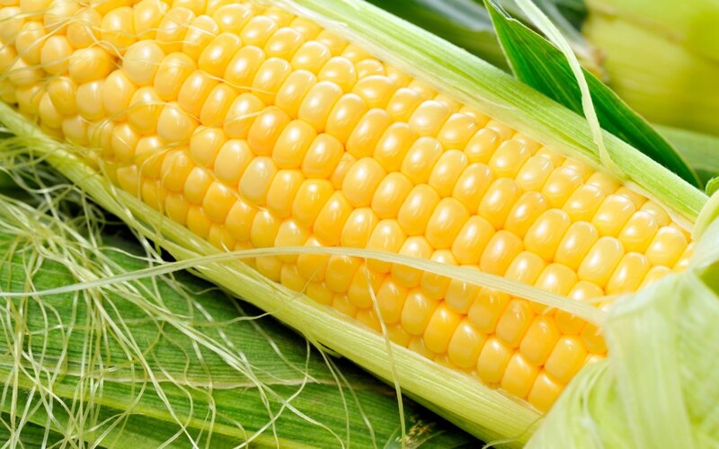 Corn on the Cob