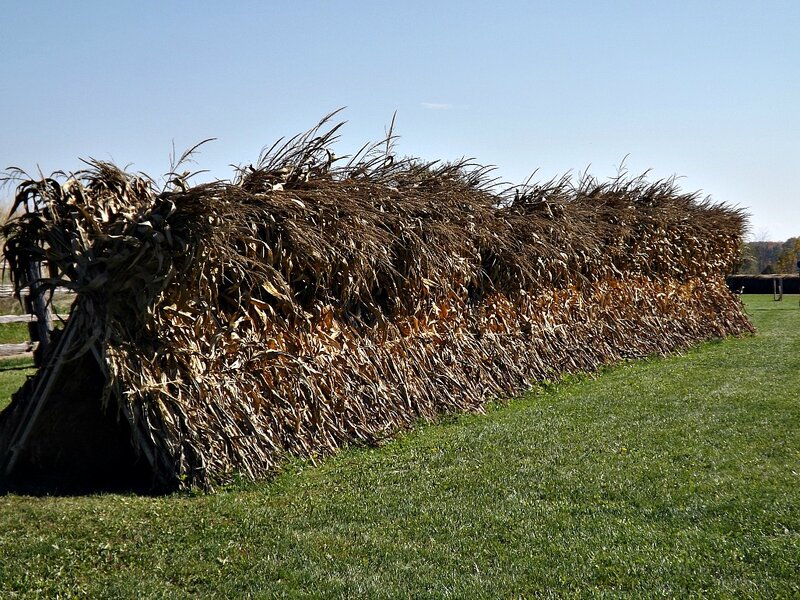 Corn Stalk Shelter