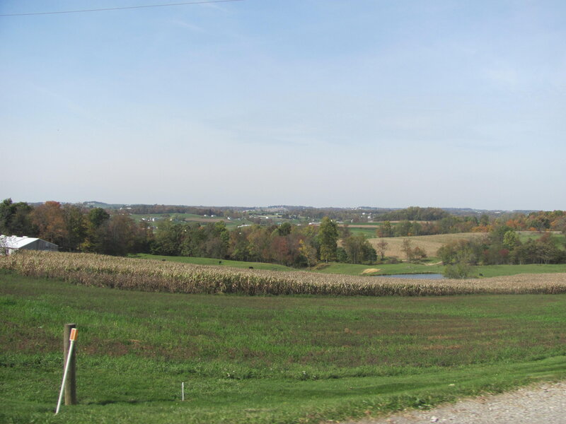 Cornfield and Pond