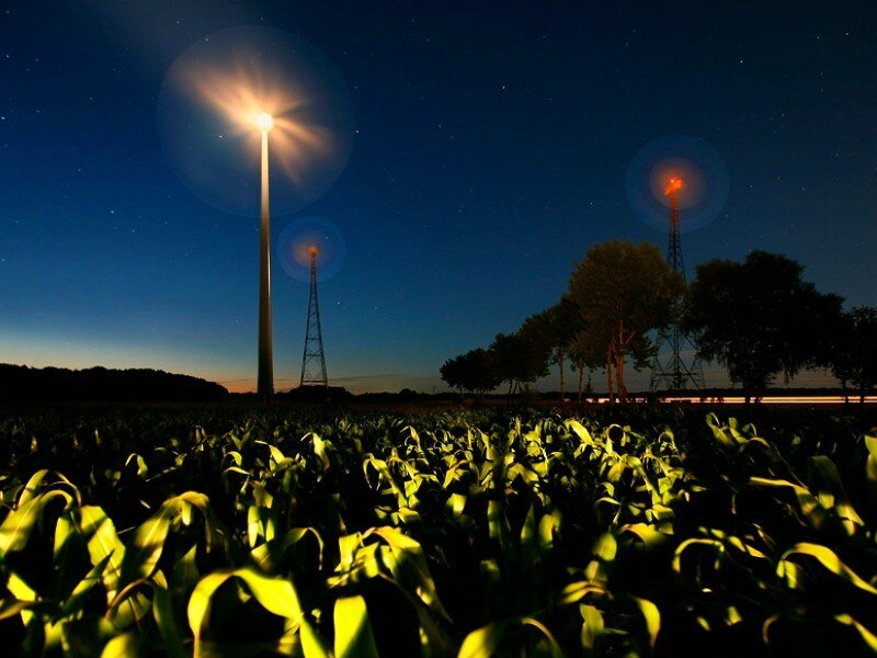 Cornfield at night with towers