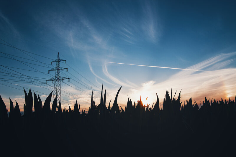 Cornfield at Sunset — Blue, Dramatic