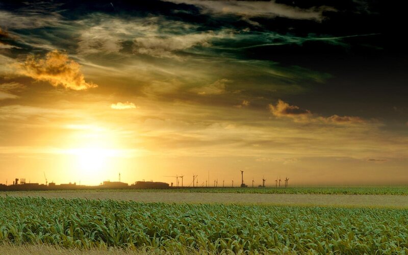 Cornfield at Sunset — Green, Dramatic, Photograph, Wind Turbines, Clouds, Yellow, Orange
