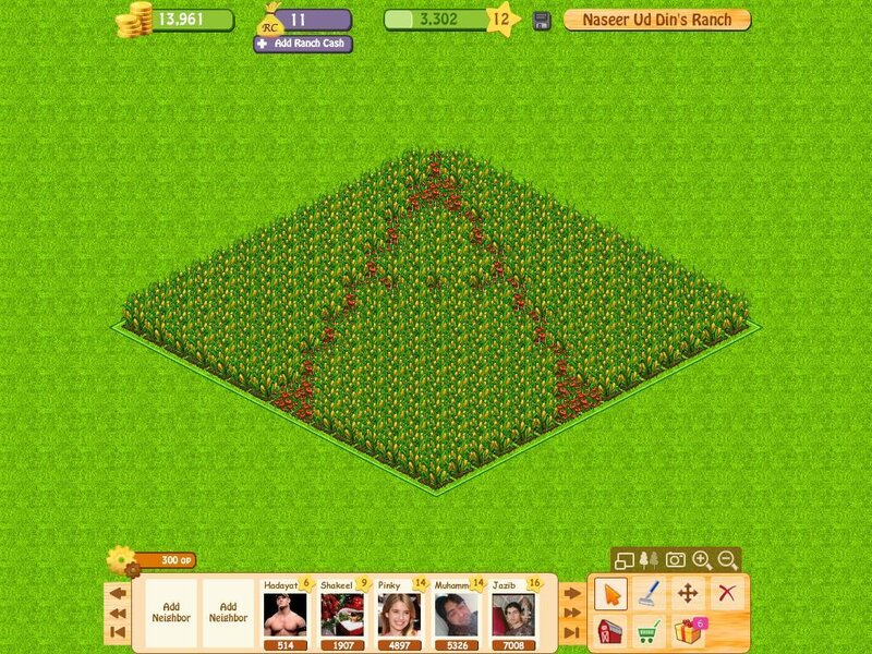 Cornfield on Ranch