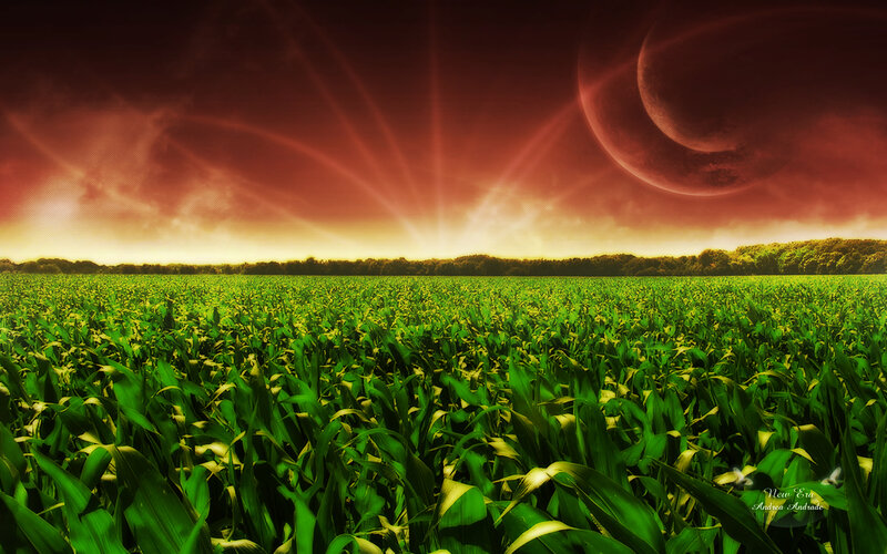 Cornfield under Alien Sky — Green, Dramatic