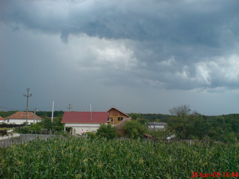 Cornfield under Storm Clouds — Green, Dramatic, Afternoon, Photograph, Houses