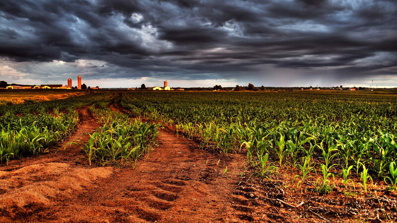 Cornfield under Stormy Sky — Green, Dramatic, Afternoon, Photograph, Farm Buildings, Silo