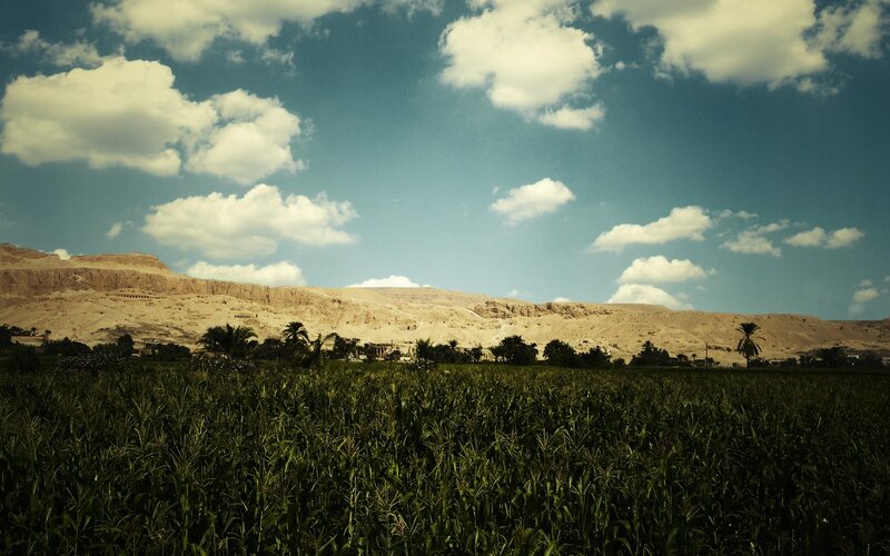 Cornfield with desert cliffs