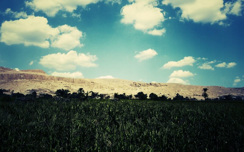 Cornfield with Mountains — Green, Serene