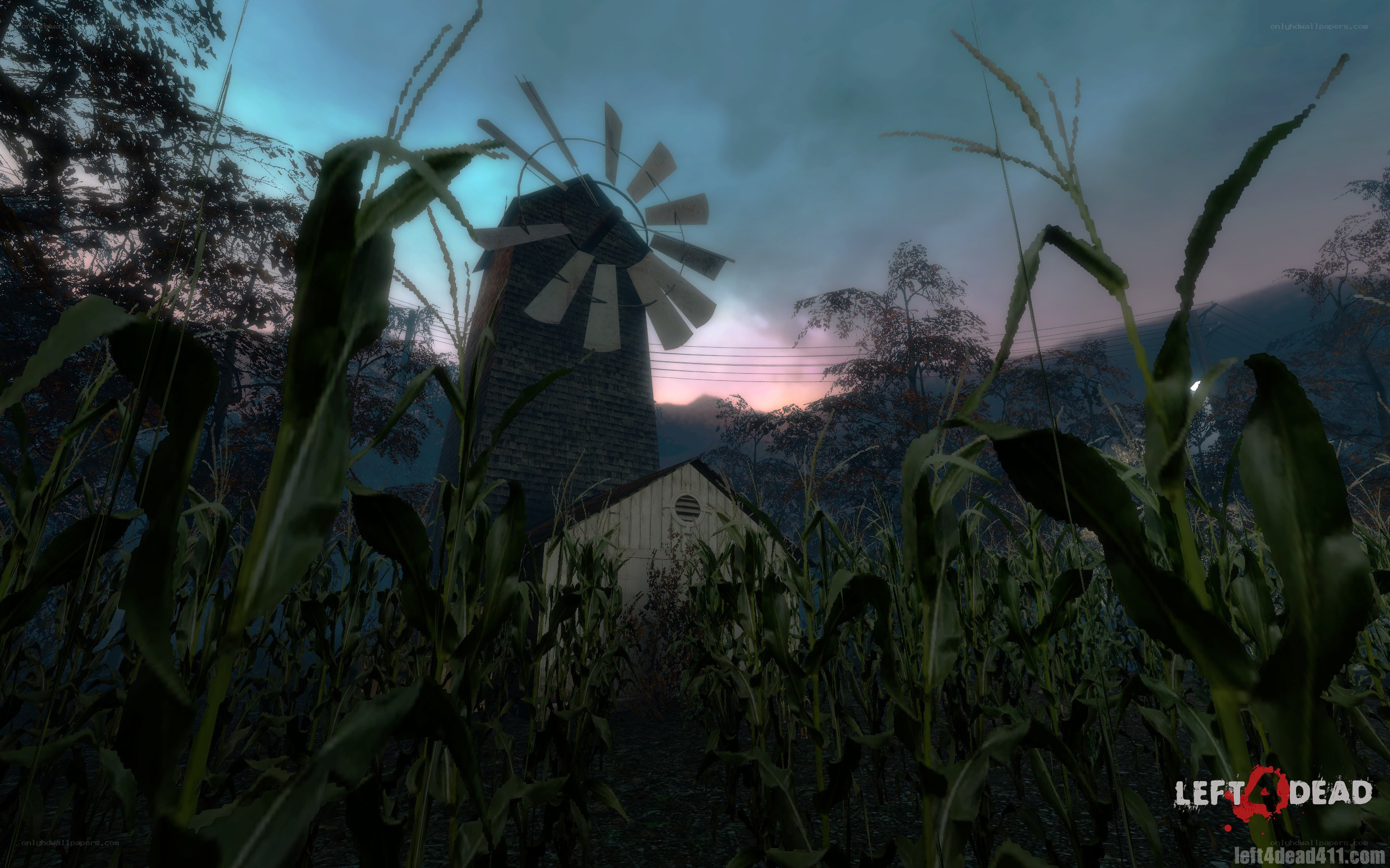 Cornfield with windmill at dusk