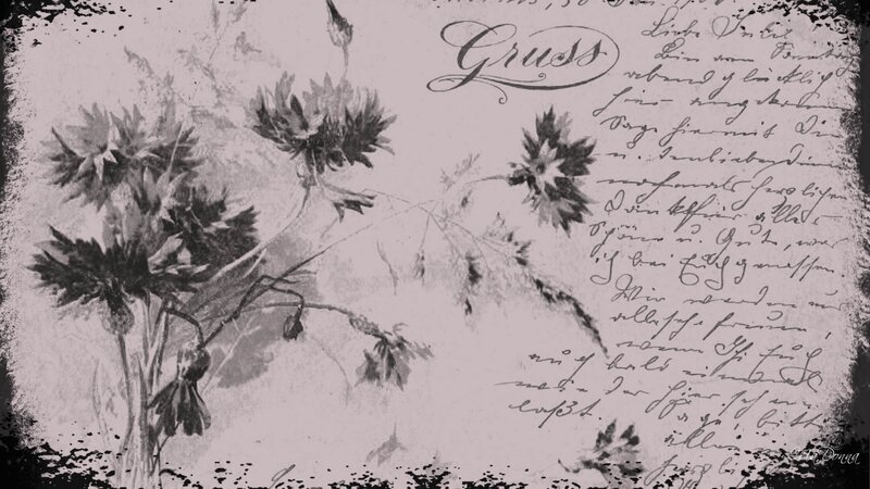 Cornflowers and Handwritten Text