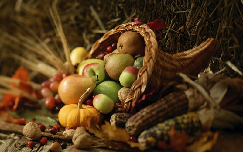 Cornucopia of Autumn Harvest — Brown