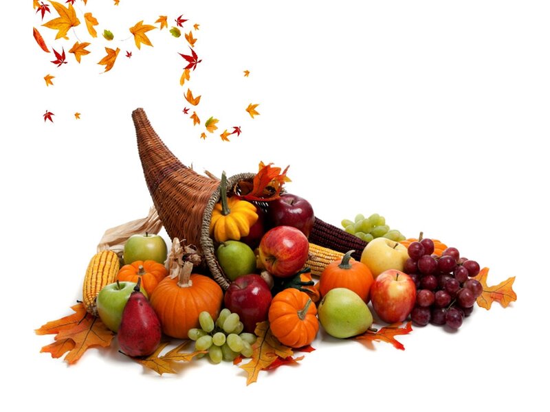 Cornucopia of Autumn Harvest — Orange