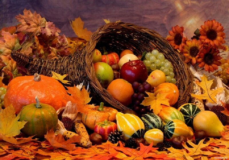 Cornucopia of Autumn Harvest
