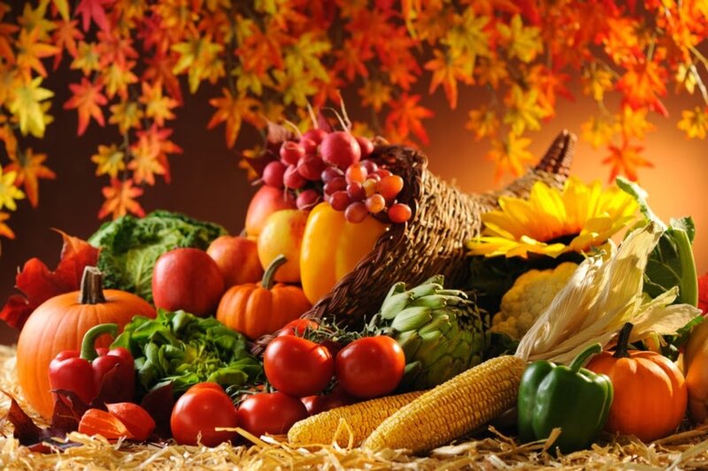 Cornucopia of Autumn Produce — Orange, Abundant