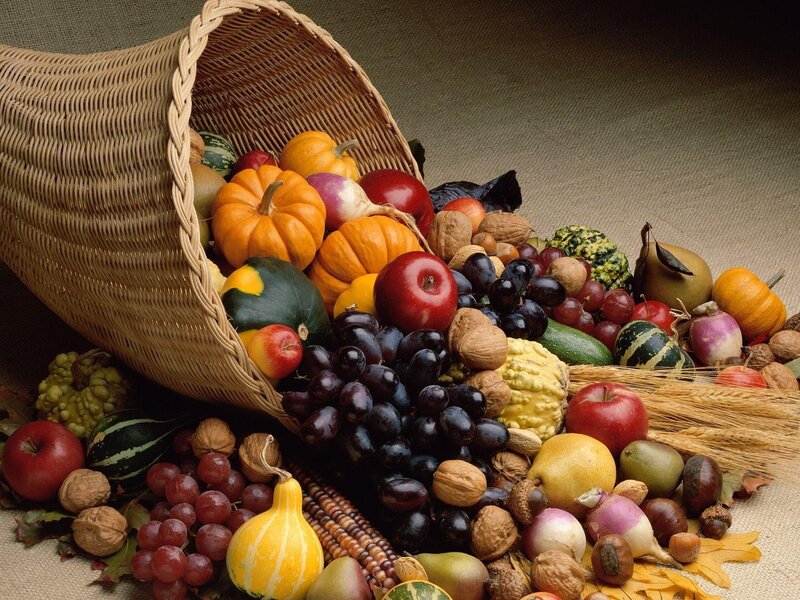 Cornucopia of harvest fruits and vegetables