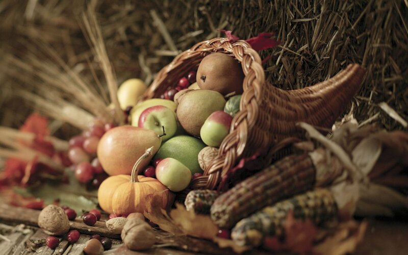 Cornucopia of Harvest Fruits — Brown
