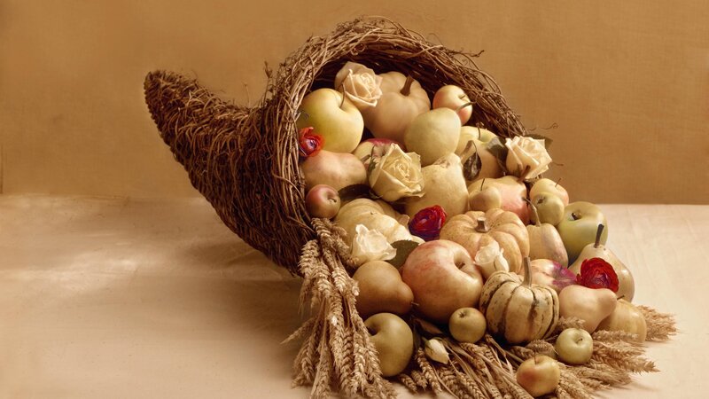 cornucopia of harvest fruits