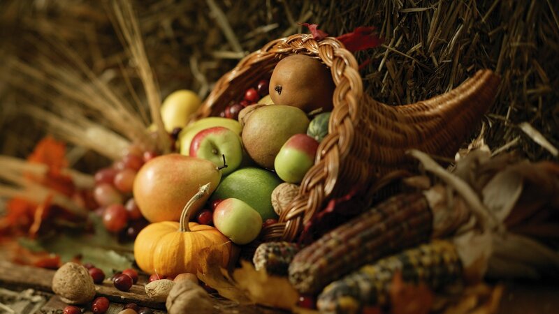 Cornucopia with Harvest Items — Brown, Autumn