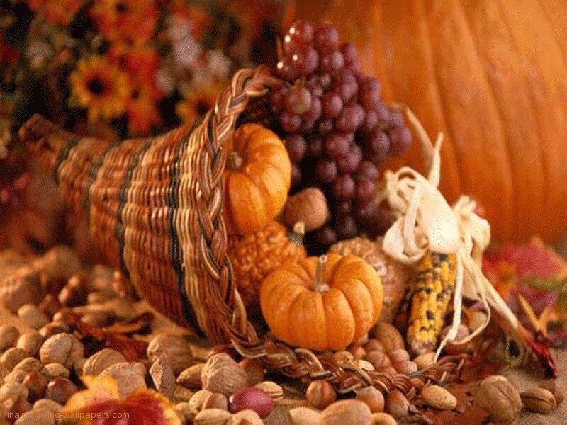 Cornucopia with Harvest Items — Orange, Autumn