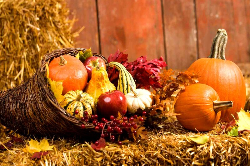 Cornucopia with Harvest Items — Orange, Festive, Autumn, Photograph