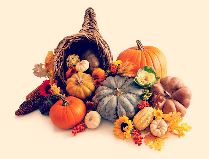 Cornucopia with Harvest Items — Orange, Festive, Autumn