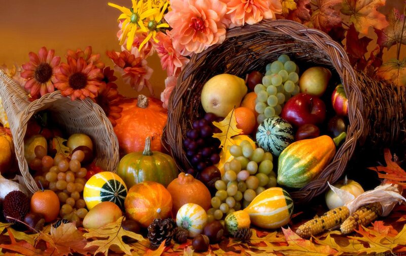 Cornucopia with Harvest Items — Orange