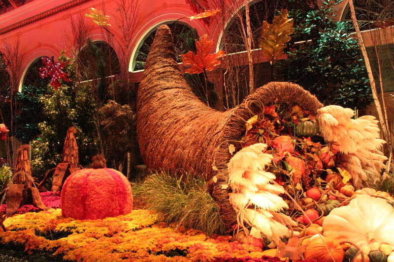 Cornucopia with Pumpkins