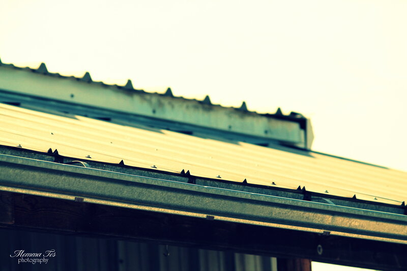 Corrugated Metal Roof