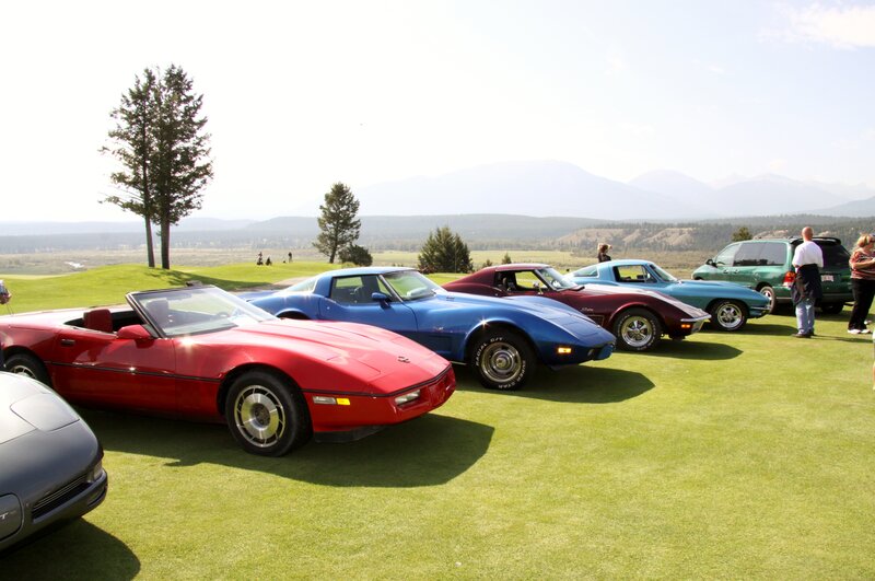 Corvette Cars on Grass