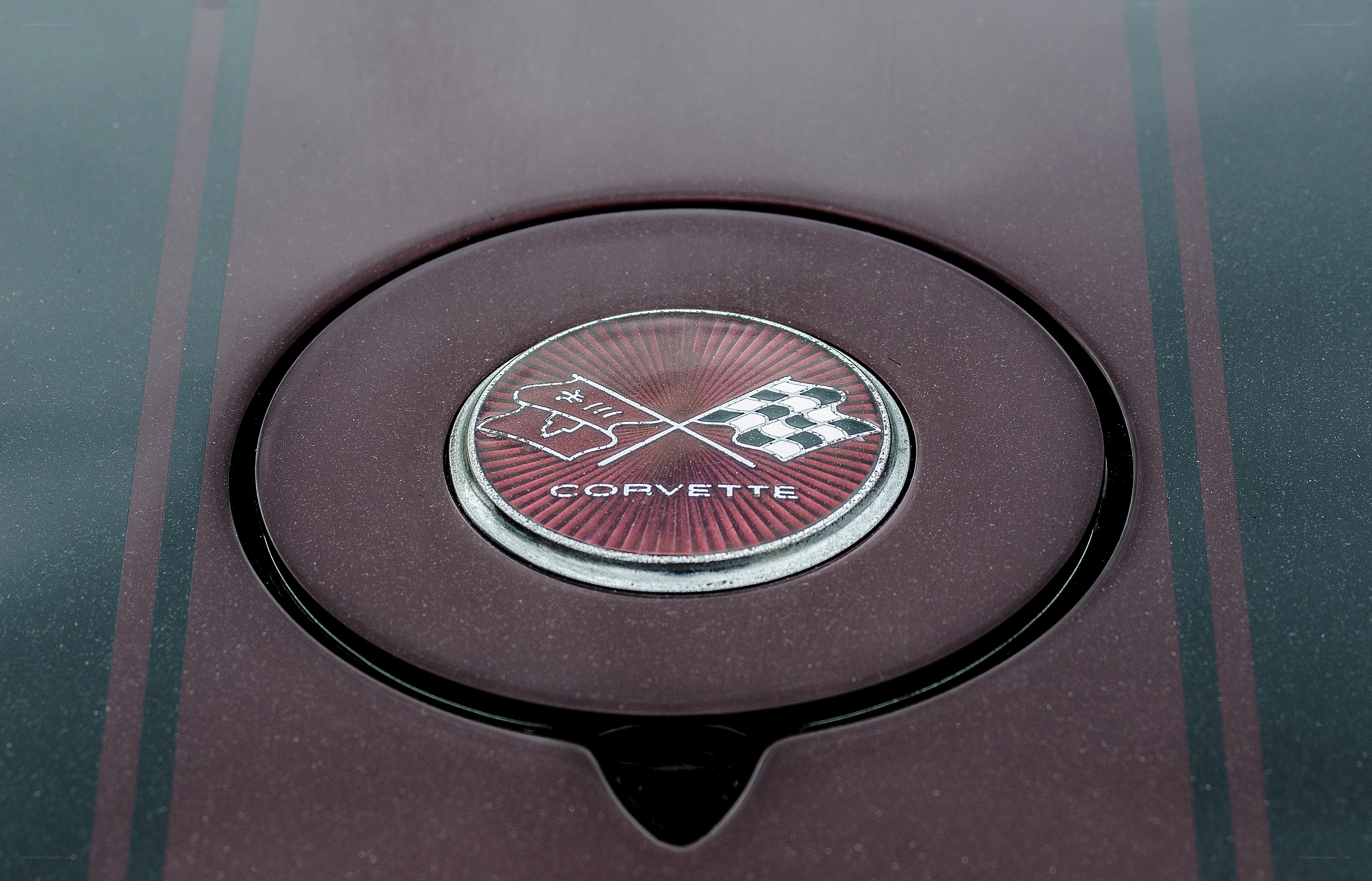 Corvette emblem on car
