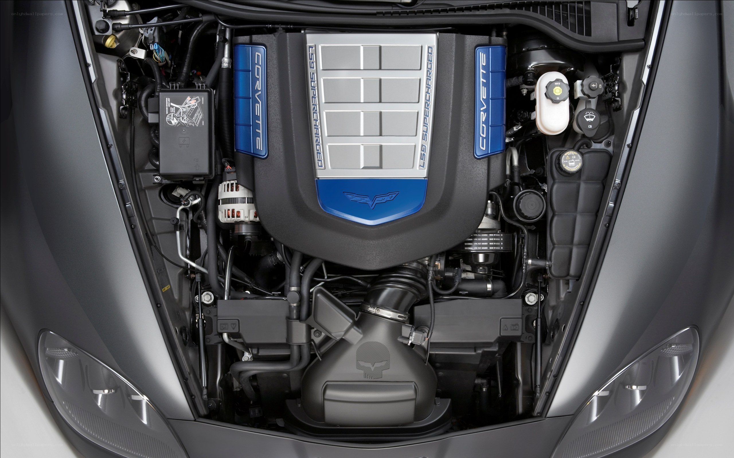 Corvette engine bay