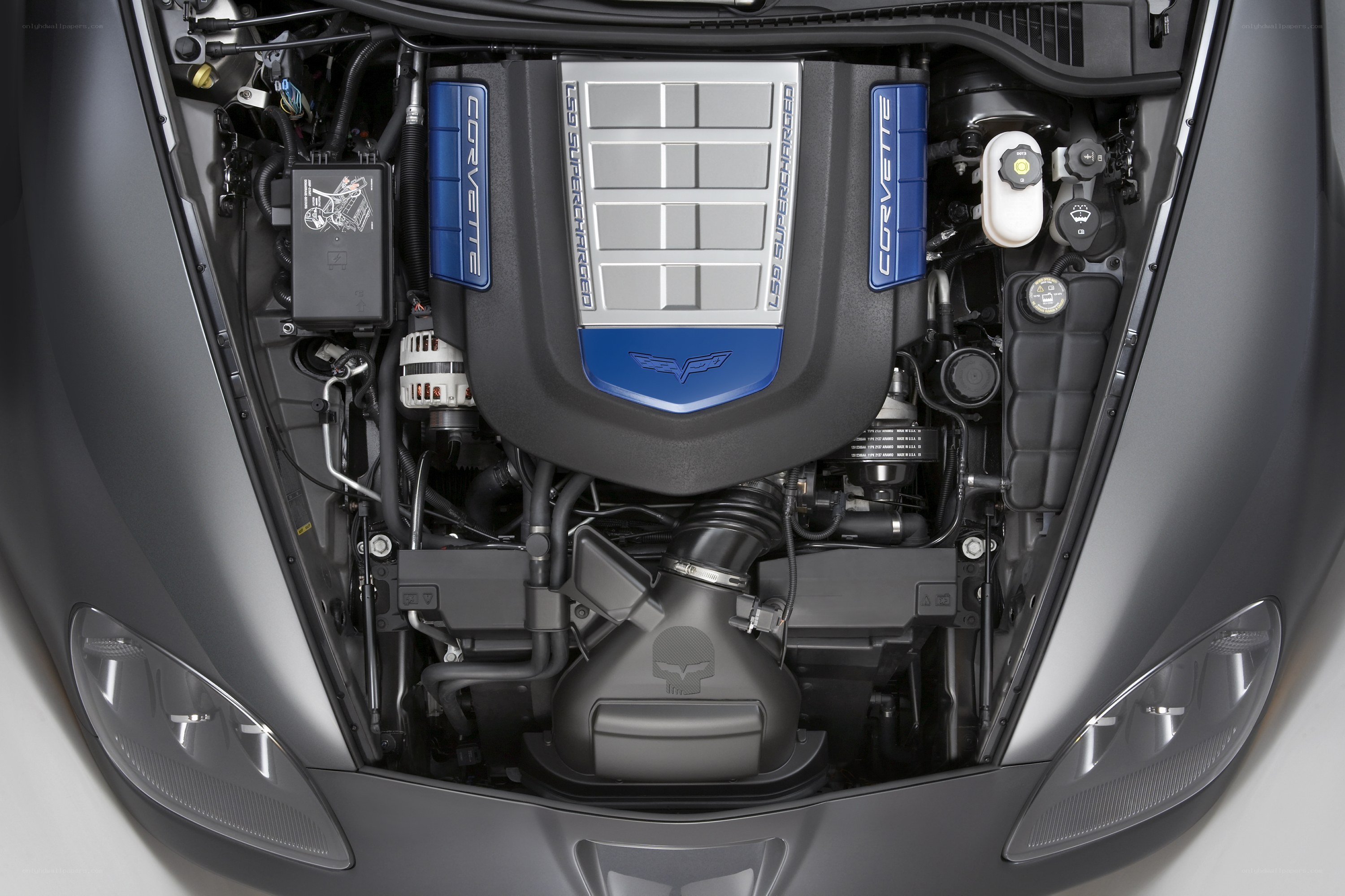 Corvette engine bay