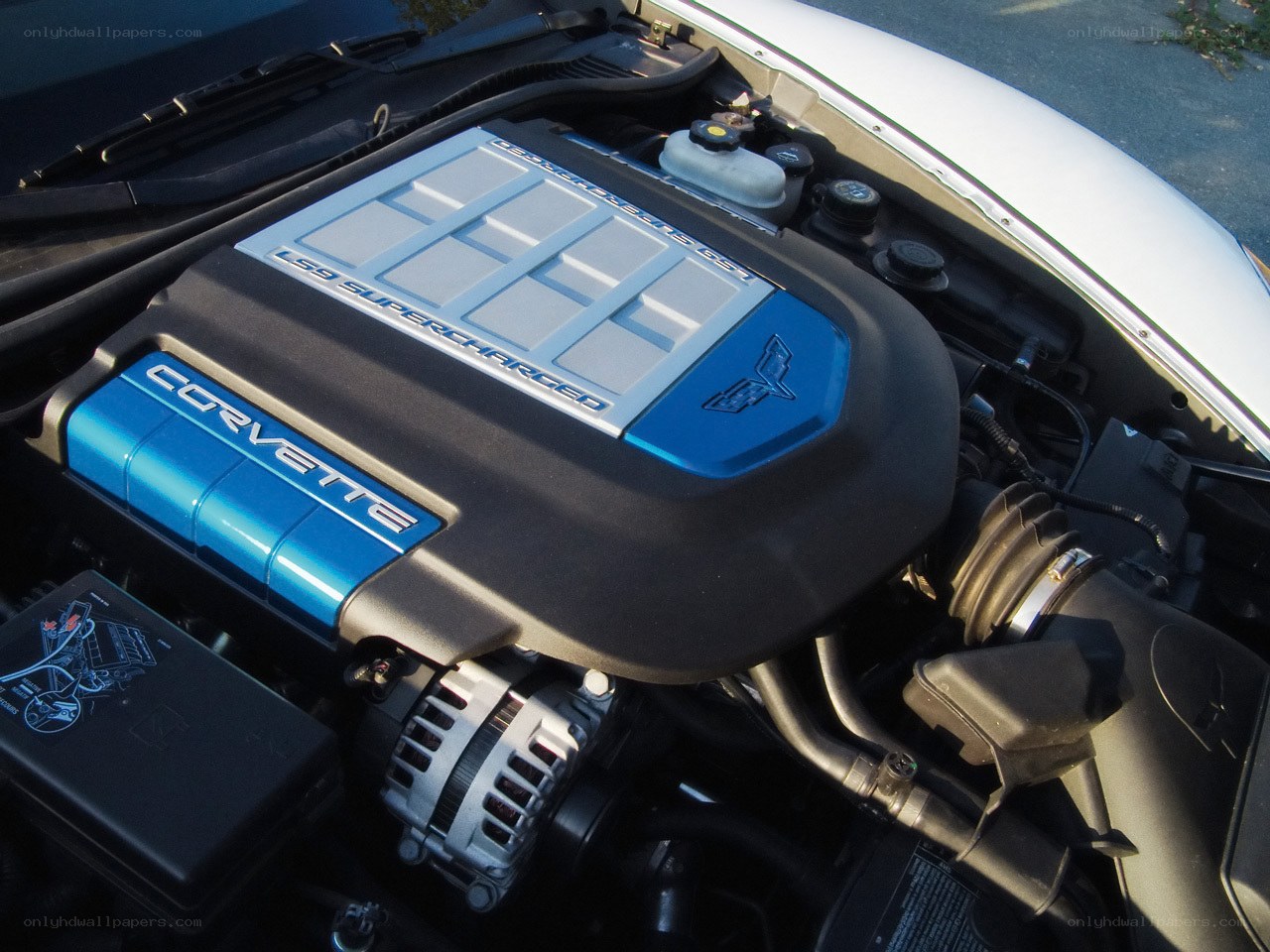 Corvette engine bay