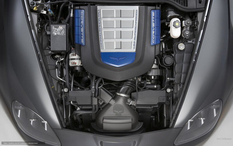 Corvette engine bay