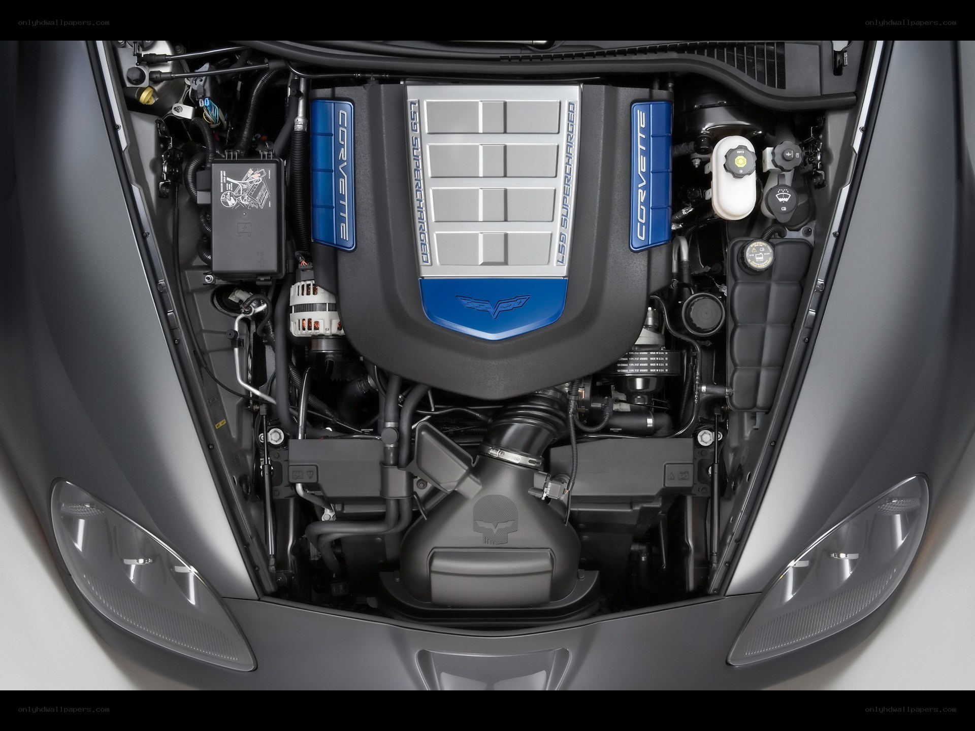 Corvette engine bay view
