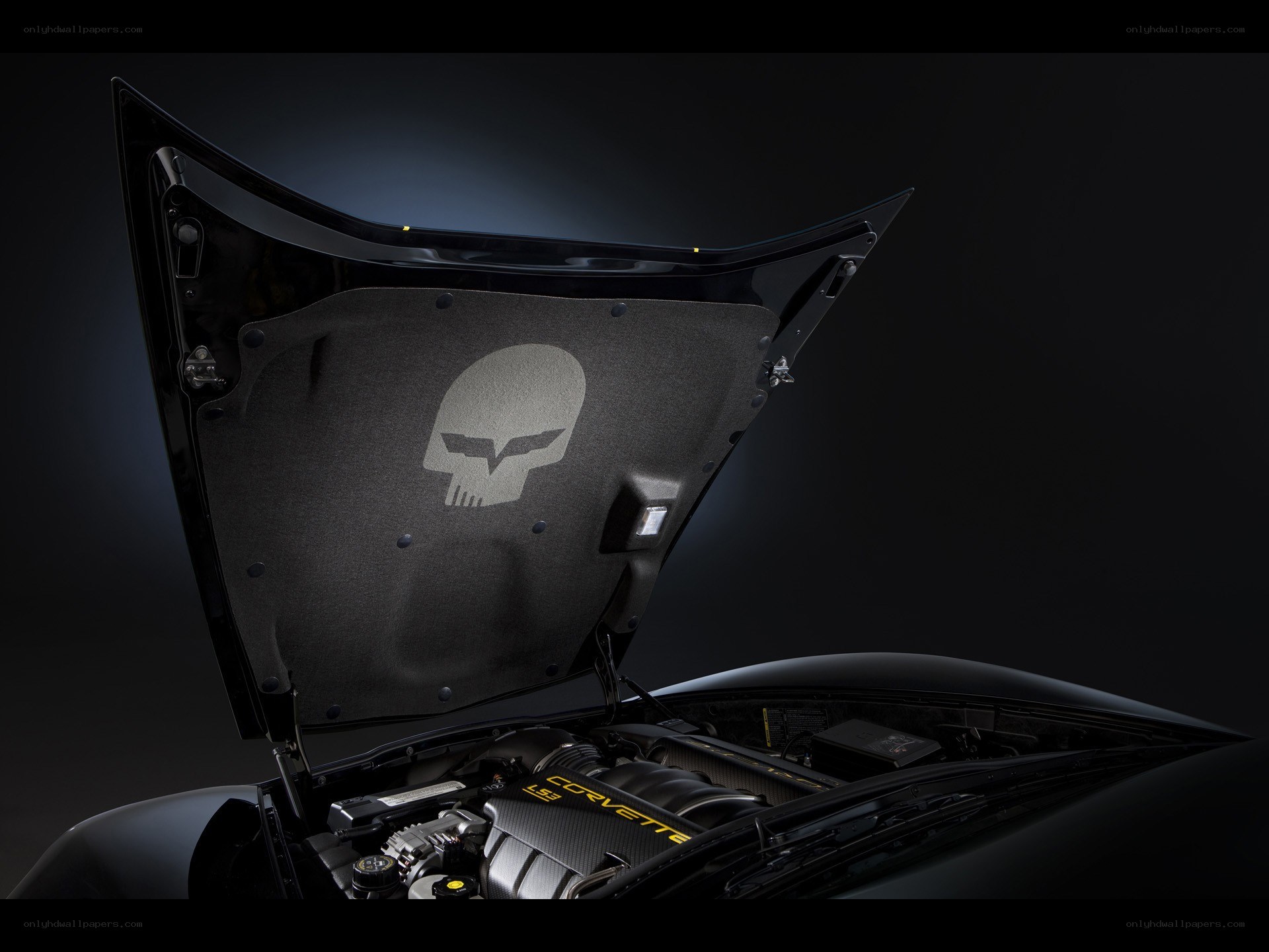 Corvette engine bay with skull emblem