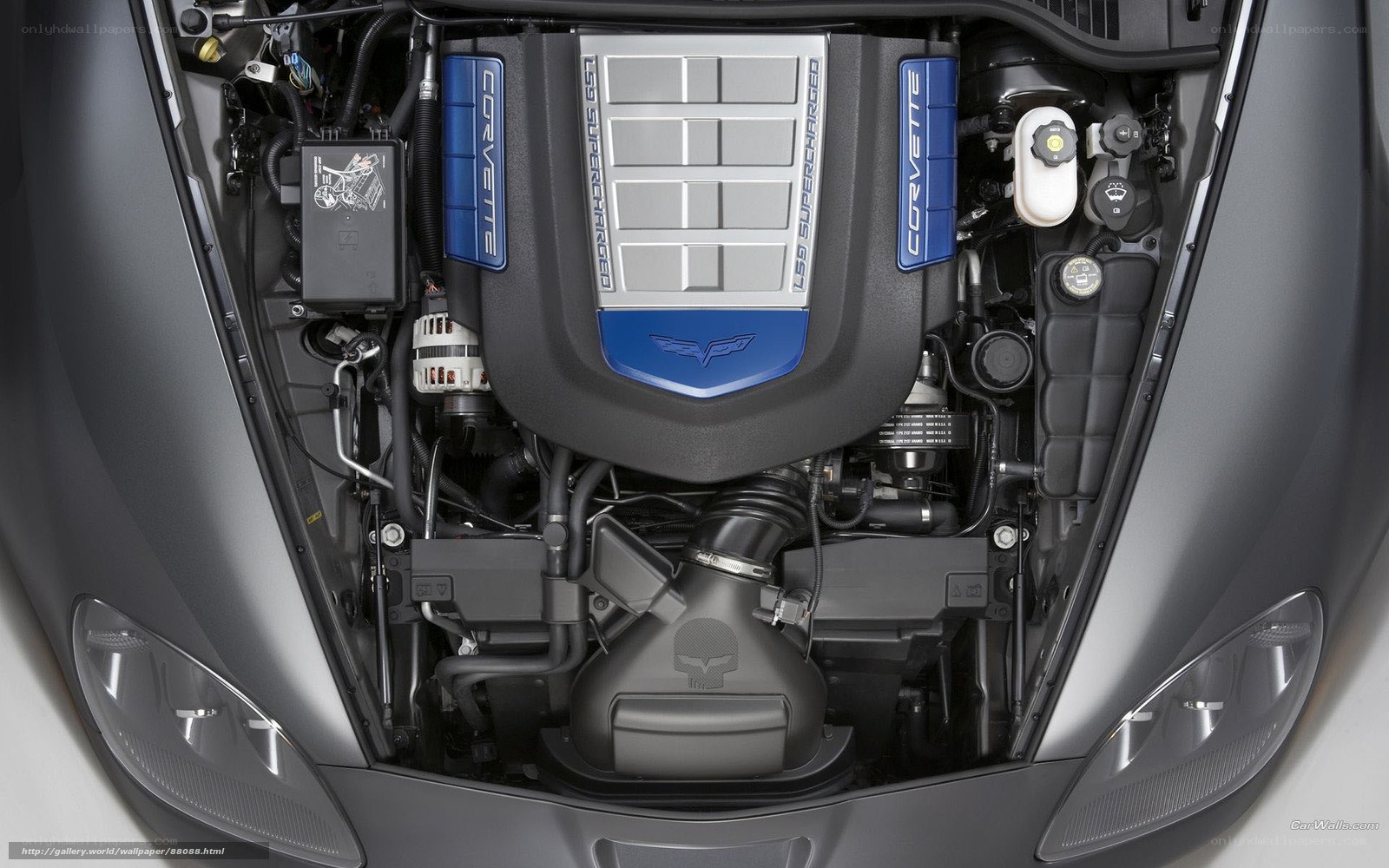 Corvette engine bay