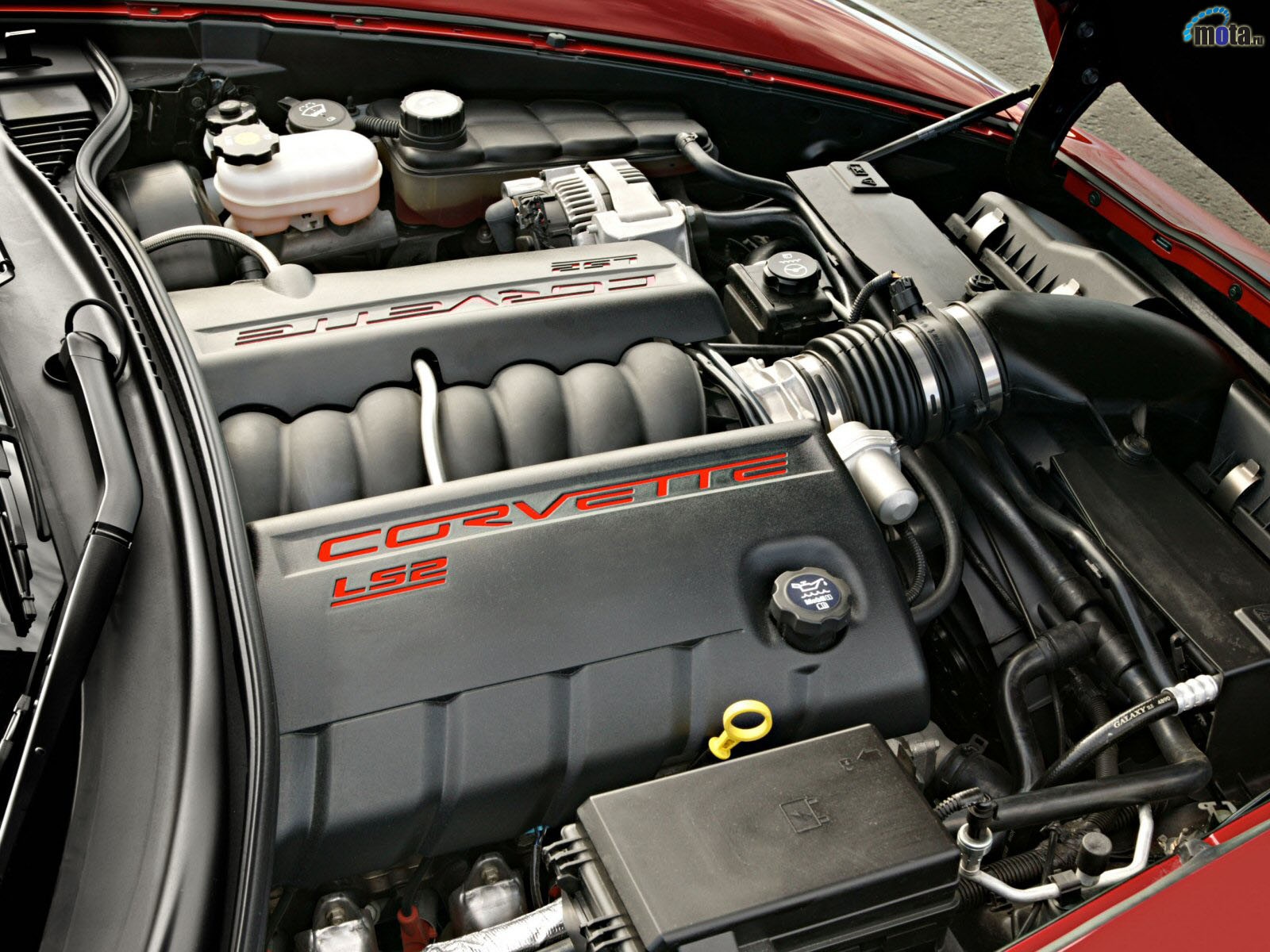 Corvette LS2 engine bay