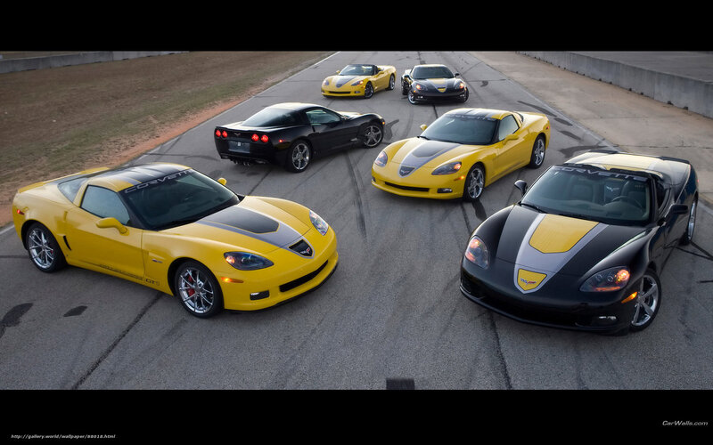 Corvette sports cars on track